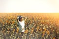 Young Beautiful Girl Standing In Sunflowers And Raising Hands Up. Freedom Lifestyle Journey Concept Royalty Free Stock Photo