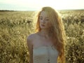 Young beautiful girl on a summer field Royalty Free Stock Photo