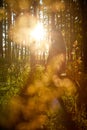 Young beautiful girl walking in forest and sun looking as star shining through the tree trunks. Model posing in the park in a Royalty Free Stock Photo