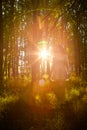 Young beautiful girl walking in forest and sun looking as star shining through the tree trunks. Model posing in the park in a Royalty Free Stock Photo