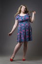 Young beautiful happy blonde plus size model in dress and shoes, xxl woman on gray studio background Royalty Free Stock Photo