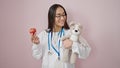 Young beautiful hispanic woman doctor smiling confident holding teddy bear and apple over isolated pink background Royalty Free Stock Photo