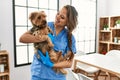 Young beautiful hispanic woman veterinarian smiling confident hugging dog at home Royalty Free Stock Photo