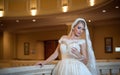 Young beautiful luxurious woman in wedding dress posing in luxurious interior. Bride with huge wedding dress in majestic manor