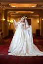 Young beautiful luxurious woman in wedding dress posing in luxurious interior. Gorgeous elegant bride with long veil. Full length