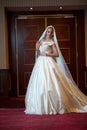 Young beautiful luxurious woman in wedding dress posing in luxurious interior. Gorgeous elegant bride with long veil. Full length Royalty Free Stock Photo