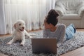 Young beautiful mixed-race woman lying on carpet floor at cozy home with pet using laptop Royalty Free Stock Photo