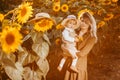 Young beautiful mother and her little cute son walk in a field with sunflowers, have fun, run and have fun together Royalty Free Stock Photo
