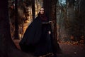 Young beautiful and mysterious woman in woods, in black cloak with hood, image of forest elf or witch