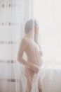 Beautiful pregnant woman with long hair standing near window Royalty Free Stock Photo