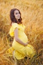 A young beautiful pregnant woman looks into the camera and touches her belly in a wheat orange field on a Sunny summer day. Nature