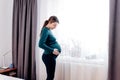 Young beautiful pregnant woman standing near window at home. Royalty Free Stock Photo