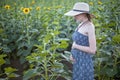 Young beautiful pregnant woman stands in a hat and dress on the field of blooming sunflowers Royalty Free Stock Photo