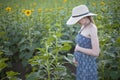 Young beautiful pregnant woman stands in a hat and dress on the field of blooming sunflowers Royalty Free Stock Photo