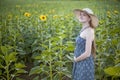 Young beautiful pregnant woman stands in a hat and dress on the field of blooming sunflowers Royalty Free Stock Photo