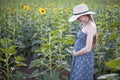 Young beautiful pregnant woman stands in a hat and dress on the field of blooming sunflowers Royalty Free Stock Photo