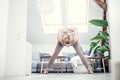 Young beautiful pregnant woman training pilates at home in her living room. Healthy lifestyle and active pregnancy and Royalty Free Stock Photo