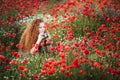 Young beautiful red-hear girl takes photos in the red poppy flowers field Royalty Free Stock Photo