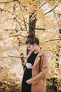 Young regnant woman posing in autumn park Royalty Free Stock Photo