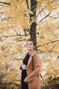 Young regnant woman posing in autumn park Royalty Free Stock Photo