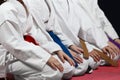 Young, beautiful, successful multi ethical karate kids in karate position. Royalty Free Stock Photo