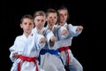 Young, beautiful, successful multi ethical karate kids in karate position. Royalty Free Stock Photo