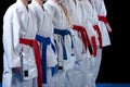 Young, beautiful, successful multi ethical karate kids in karate position. Royalty Free Stock Photo