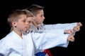 Young, beautiful, successful multi ethical karate kids in karate position. Royalty Free Stock Photo