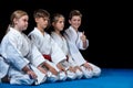 Young, beautiful, successful multi ethical karate kids in karate position. Royalty Free Stock Photo