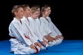 Young, beautiful, successful multi ethical karate kids in karate position. Royalty Free Stock Photo