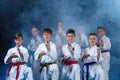 Young, beautiful, successful multi ethical karate kids in karate position. Royalty Free Stock Photo