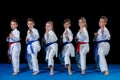 Young, beautiful, successful multi ethical karate kids in karate position. Royalty Free Stock Photo