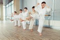 young, beautiful, successful multi ethical kids in karate positi Royalty Free Stock Photo