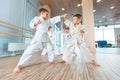 Young, beautiful, successful multi ethical kids in karate position Royalty Free Stock Photo