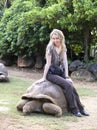 Young beautiful tourist woman riding on giant turtle Royalty Free Stock Photo