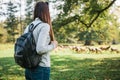 Young beautiful travel girl with backpack looking at wild reindeer grazing in the distance.