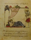 The young and beautiful wife married to an old merchant at Kalila wa-Dimna fables