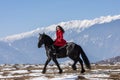 Young beautiful woman on black horse in riding in Transylvania mountains