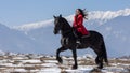 Young beautiful woman on black horse in riding in Transylvania mountains