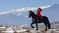 Young beautiful woman on black horse in riding in Transylvania mountains