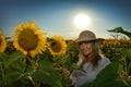 Young beautiful woman on blooming sunflower field Royalty Free Stock Photo