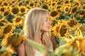 Young beautiful woman on blooming sunflower field Royalty Free Stock Photo