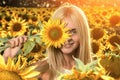Young beautiful woman on blooming sunflower field Royalty Free Stock Photo