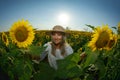 Young beautiful woman on blooming sunflower field in summer Royalty Free Stock Photo