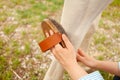 beautiful woman in a blue shirt cleans a white horse. Brush, grooming. love, care for animals. nature, spring, green Royalty Free Stock Photo