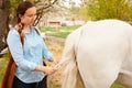 beautiful woman braids the tail of a horse. A pigtail made of white hair. Convenience, beauty. Hairdresser, caring for Royalty Free Stock Photo