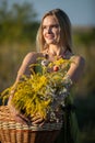 A young attractive herbalist holds a wicker basket of herbs. Goldenrod and common winterflower. Royalty Free Stock Photo