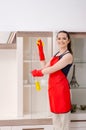 The young beautiful woman cleaning apartment Royalty Free Stock Photo