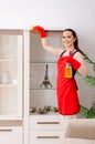 The young beautiful woman cleaning apartment Royalty Free Stock Photo