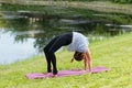 Young beautiful woman doing yoga exercise in green park. Healthy lifestyle and fitness concept. Royalty Free Stock Photo